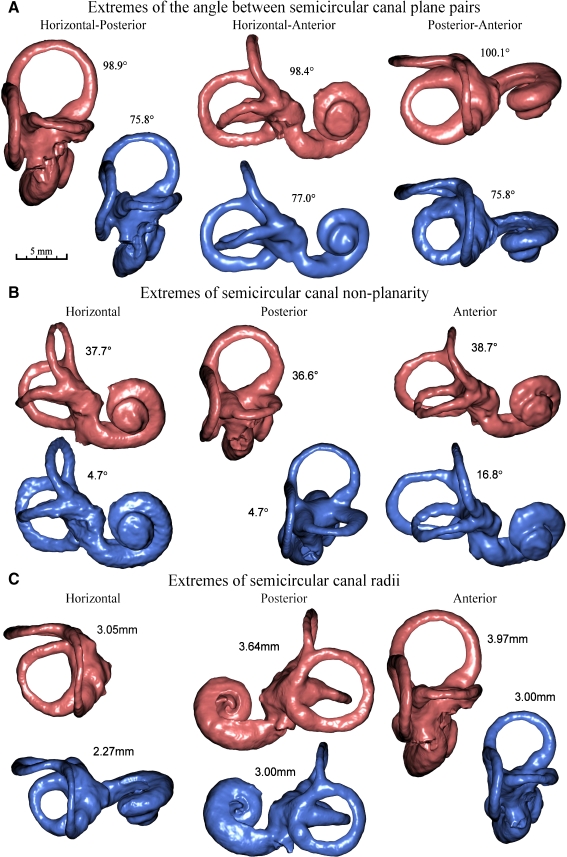 FIG. 6