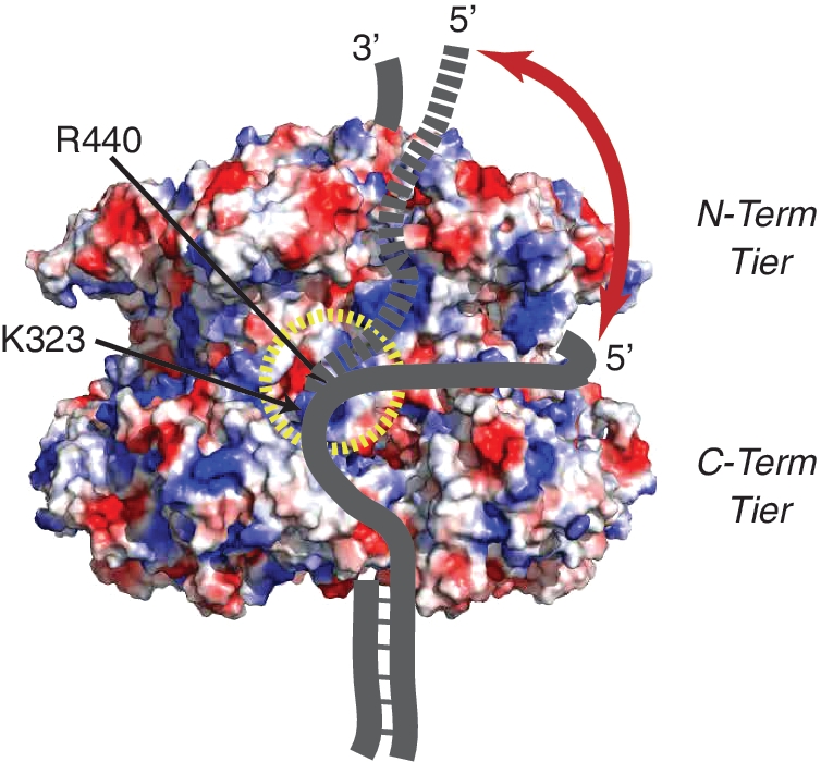 Figure 5.