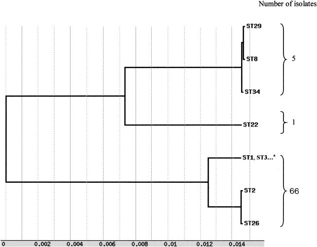 FIG. 2.