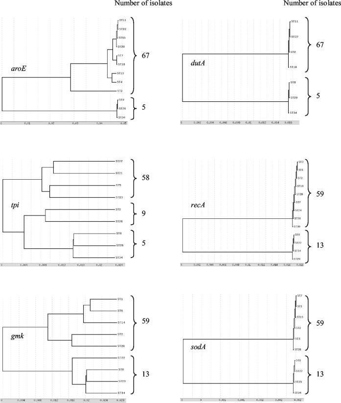 FIG. 3.