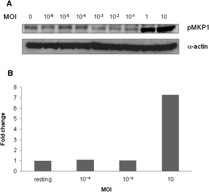 Figure 4