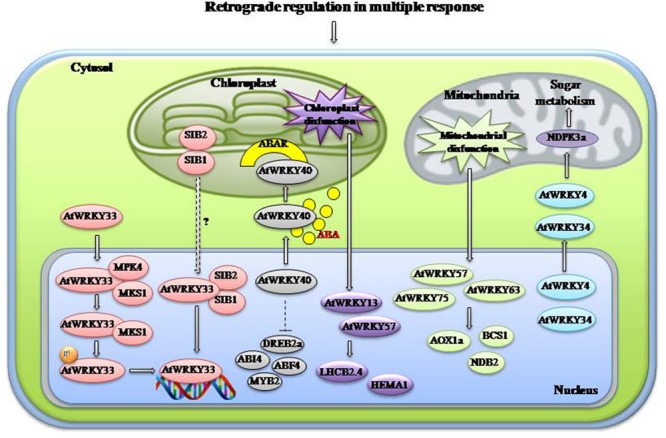 FIGURE 3