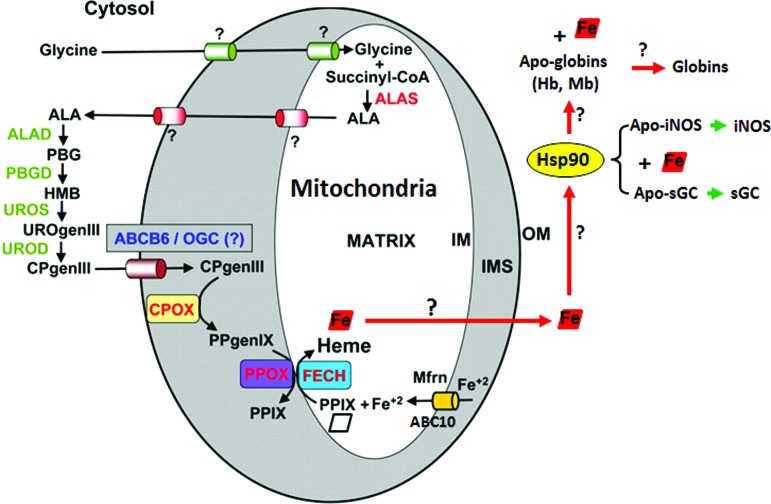 FIG. 1.