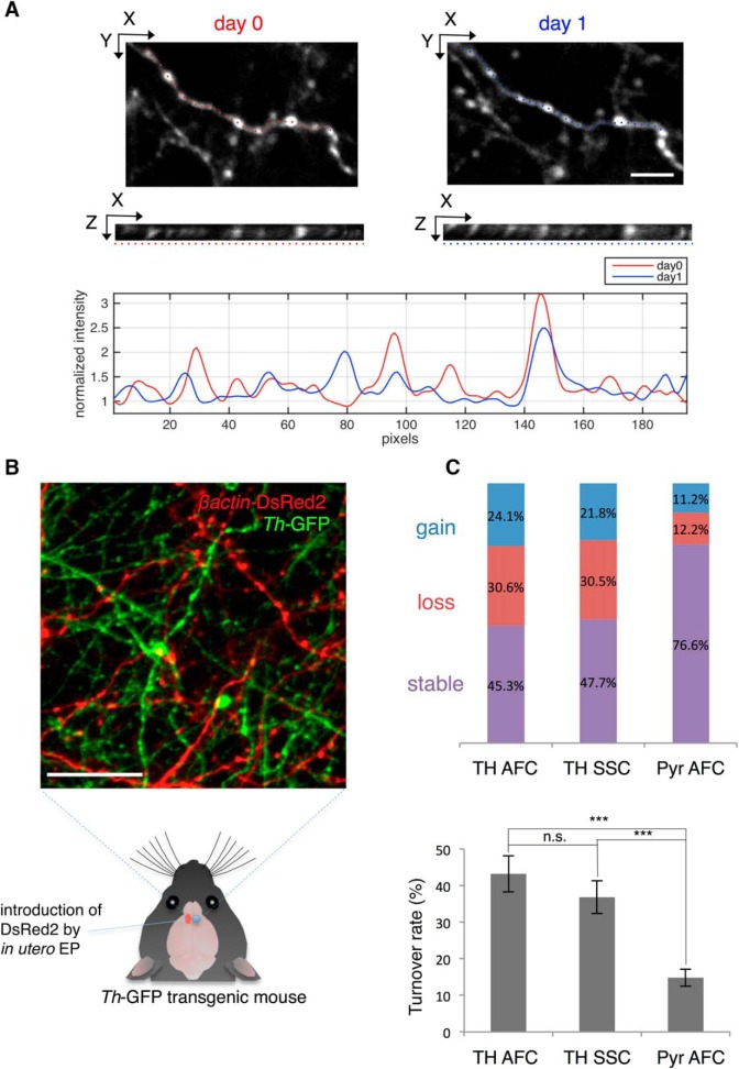 Figure 3.