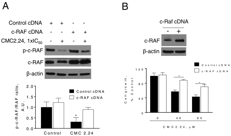 Figure 6: