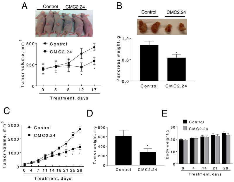 Figure 2: