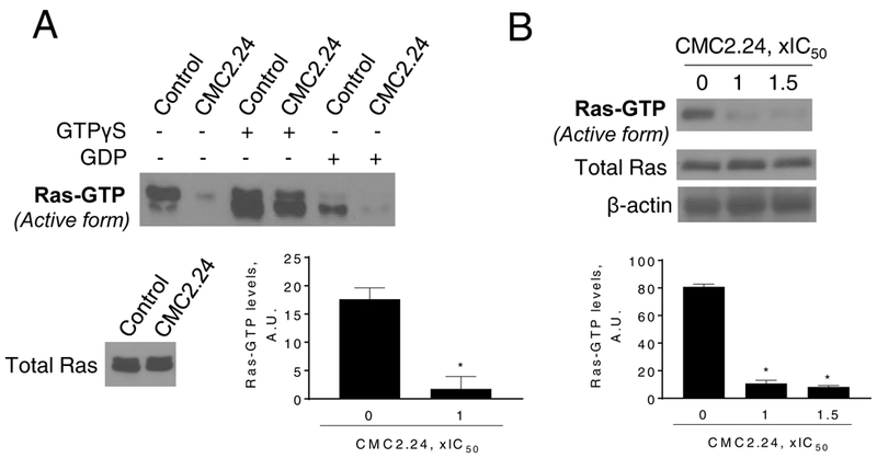 Figure 5: