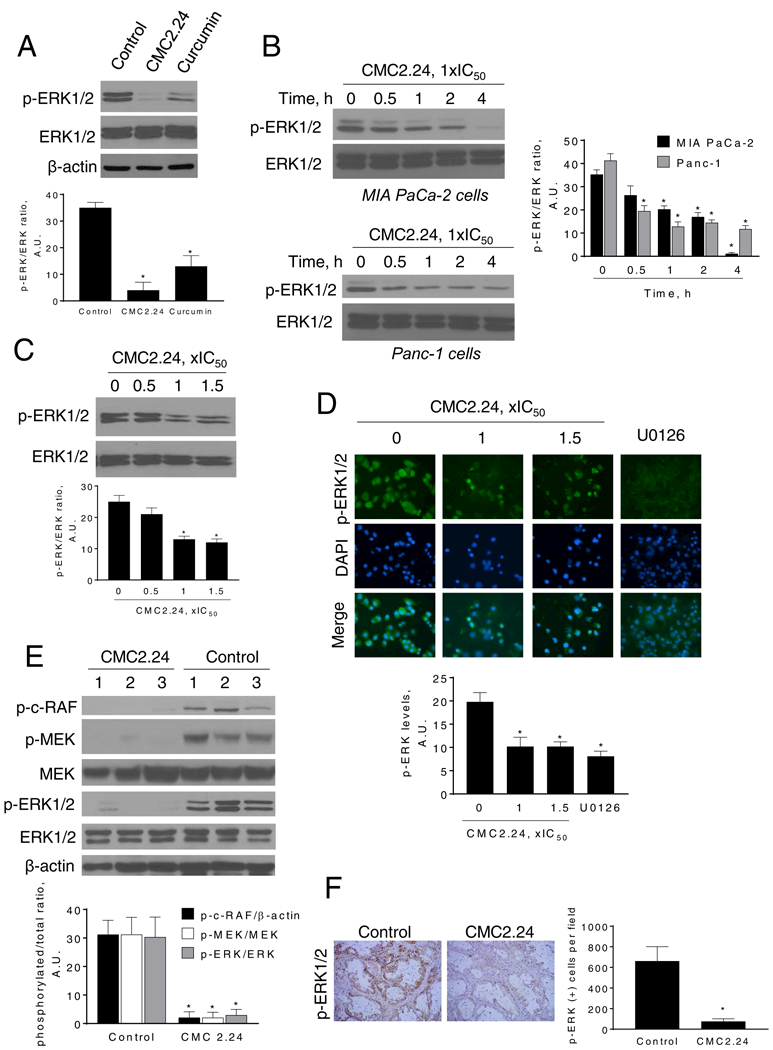 Figure 4: