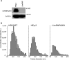 FIG 1