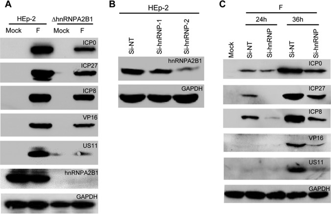 FIG 6