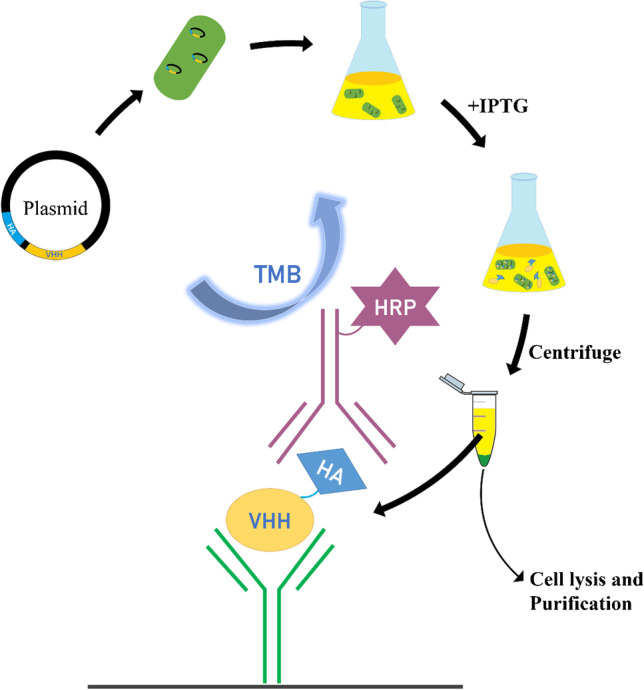 graphic file with name 216_2023_4846_Figh_HTML.jpg