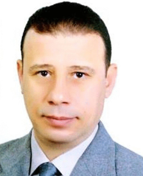 graphic file with name 216_2023_4846_Fige_HTML.jpg