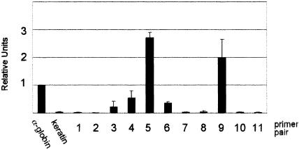 FIG. 5.