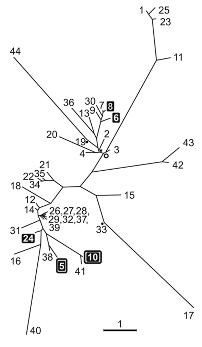 Fig. 11