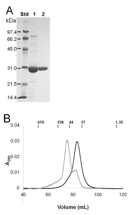 FIGURE 3