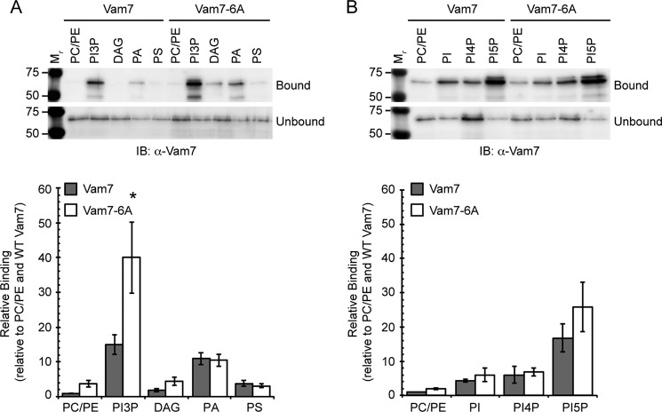 FIGURE 6.