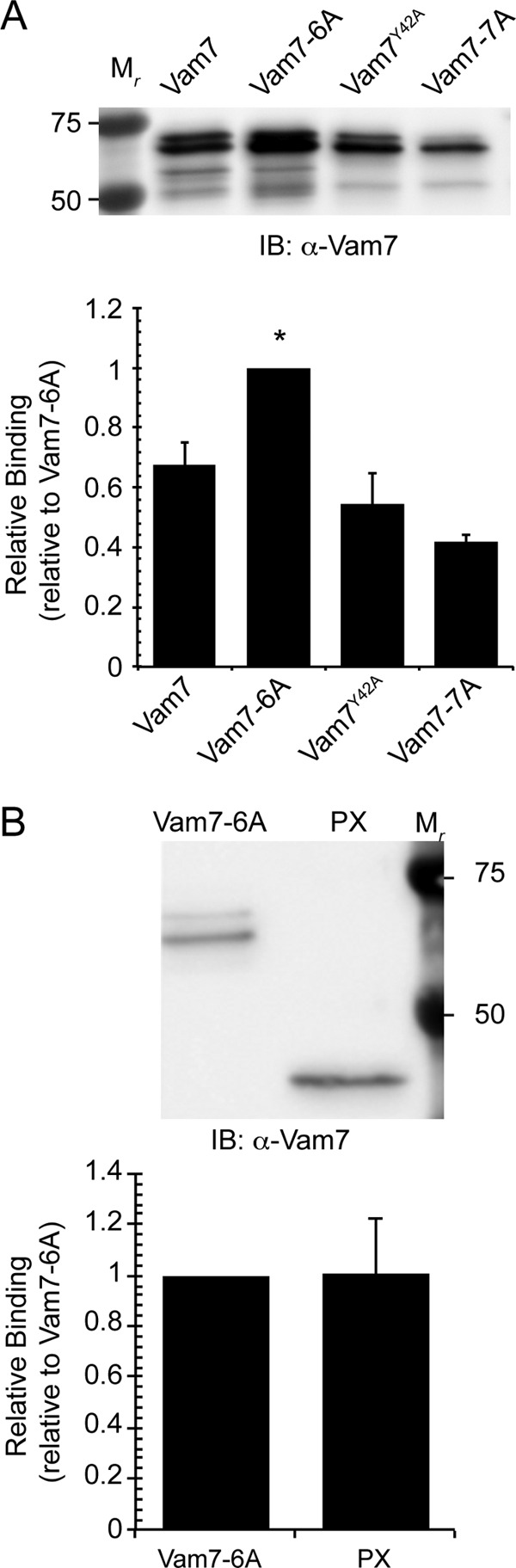 FIGURE 7.