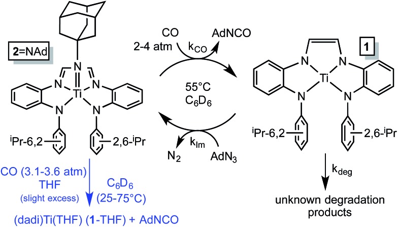 Scheme 5