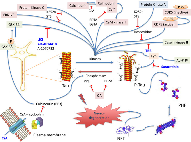 Fig 6