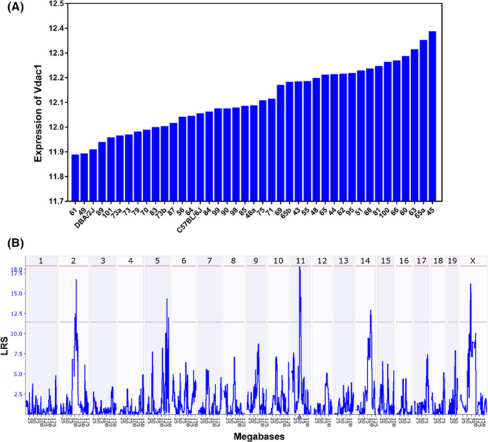 FIGURE 3