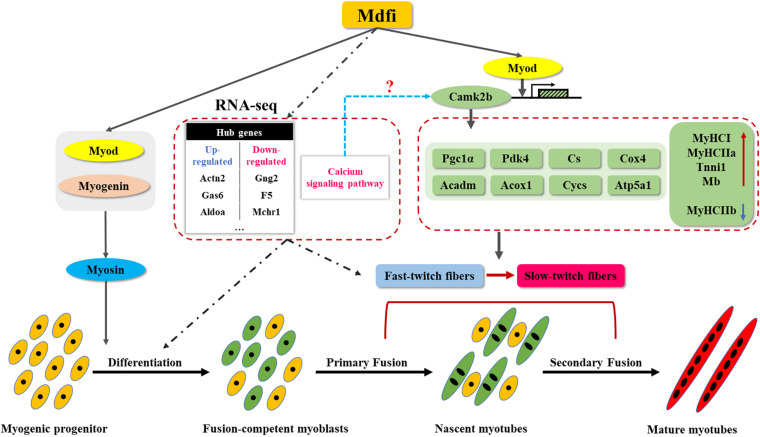 FIGURE 7