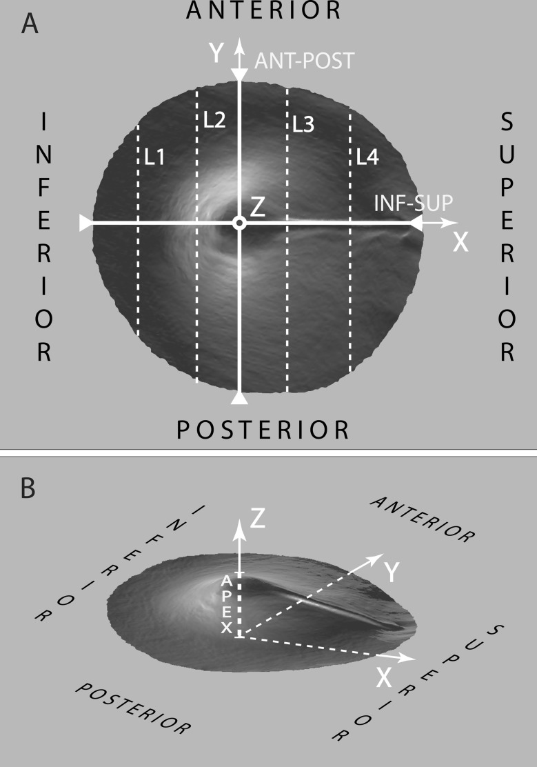 FIG. 1