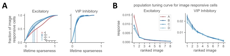 Figure 3—figure supplement 1.