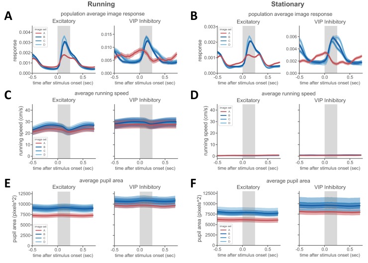 Figure 4—figure supplement 1.