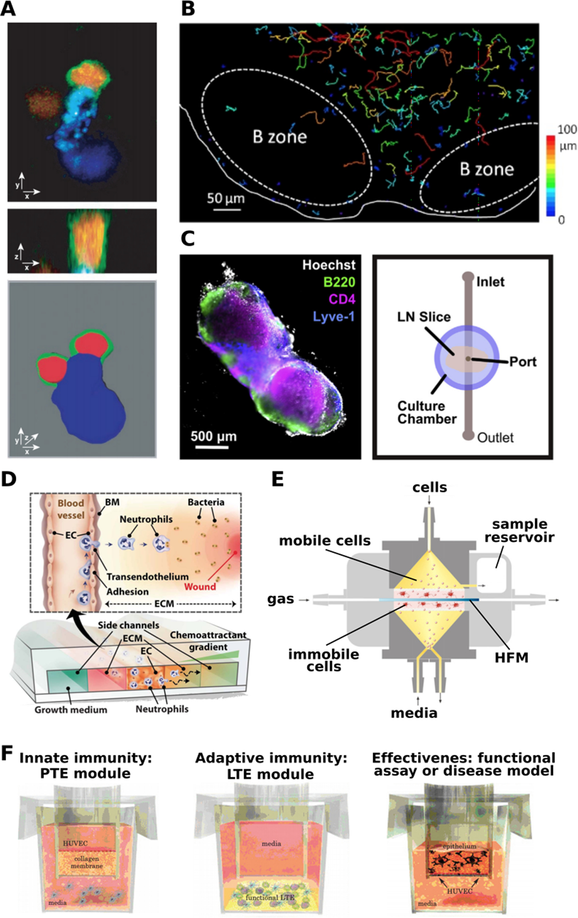 Figure 4: