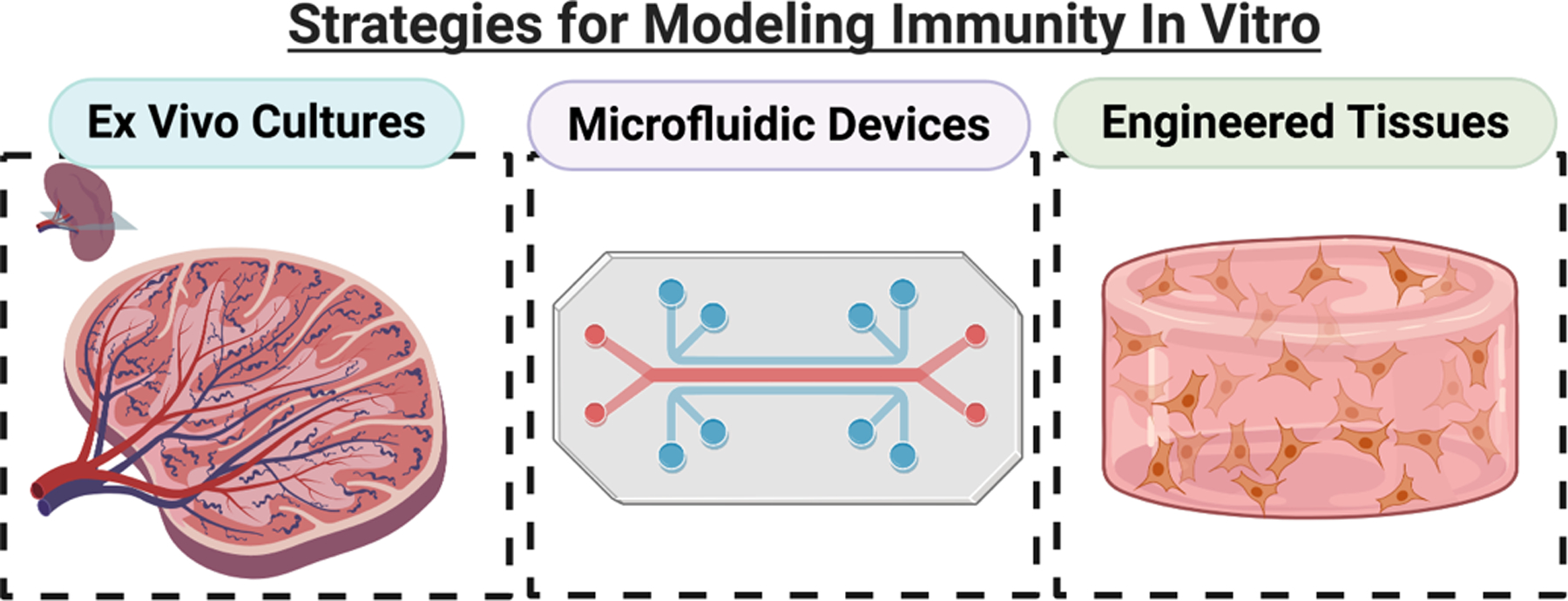 Figure 3: