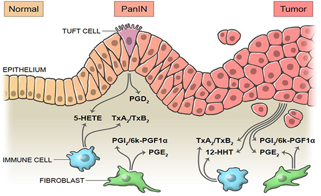 graphic file with name nihms-1837488-f0001.jpg