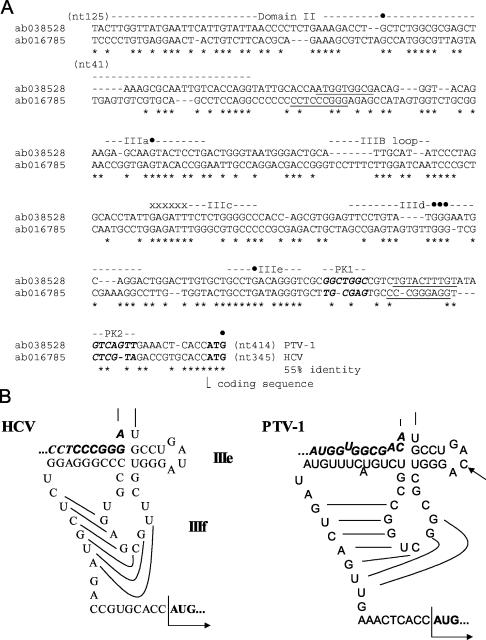 FIG. 8.