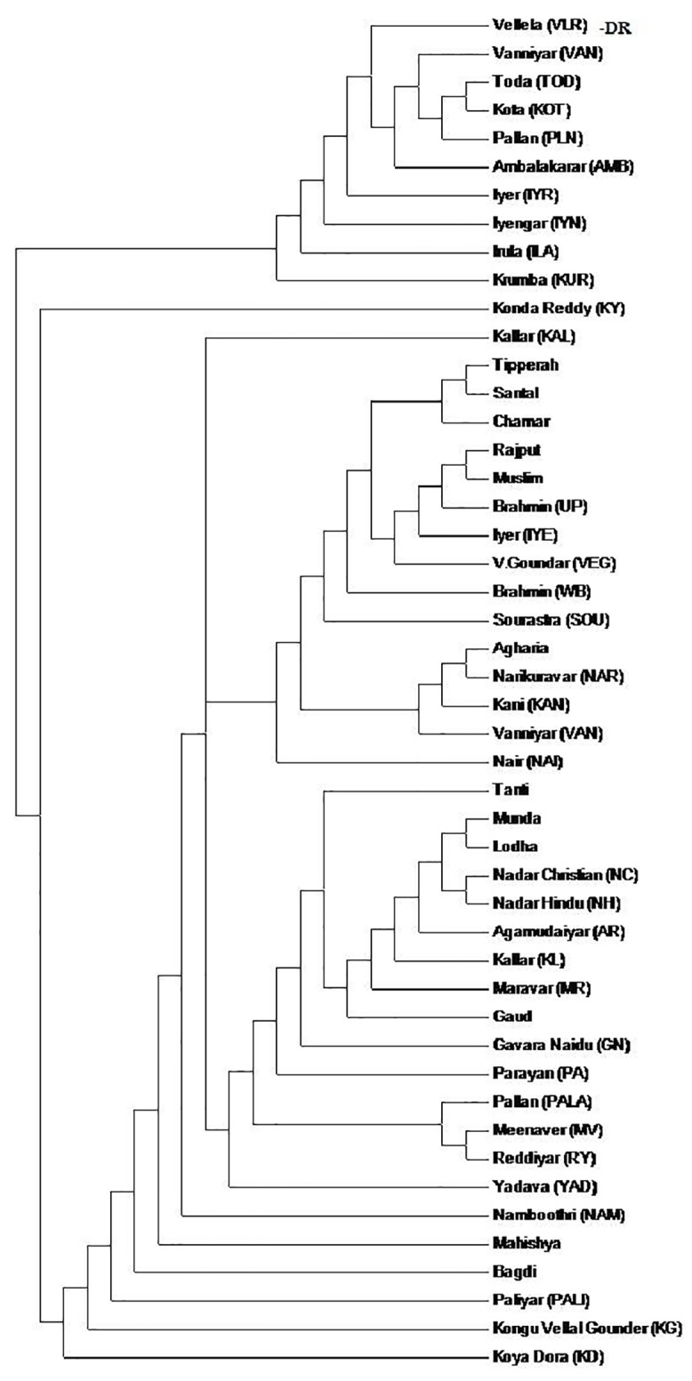 Fig 4