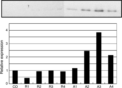 Fig. 4.