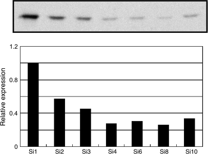 Fig. 7.