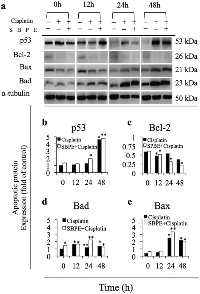 Fig 5
