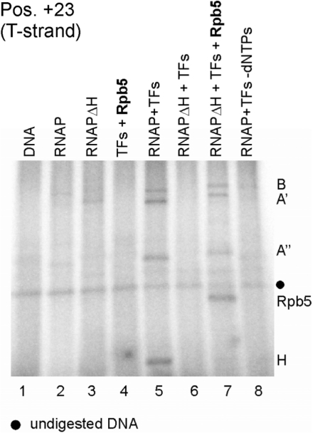 Figure 7.