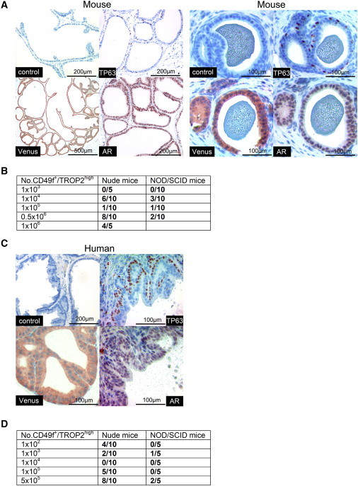 Figure 7