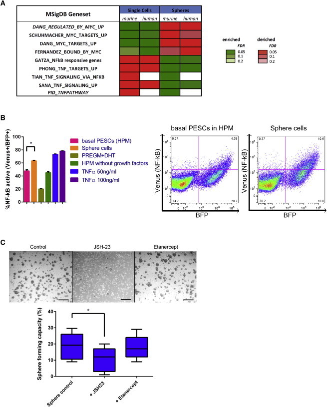 Figure 6