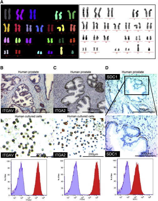 Figure 4