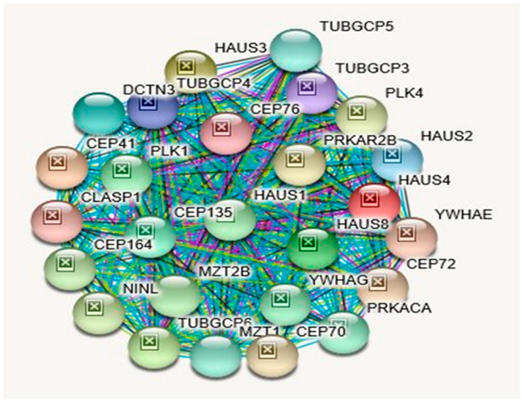 Figure 6