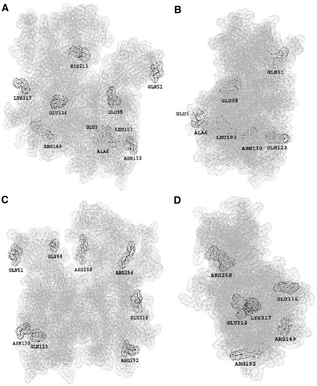 Figure 11.