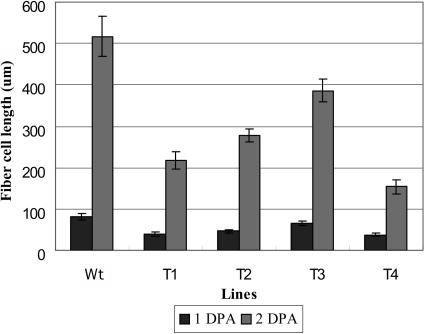 Figure 10.