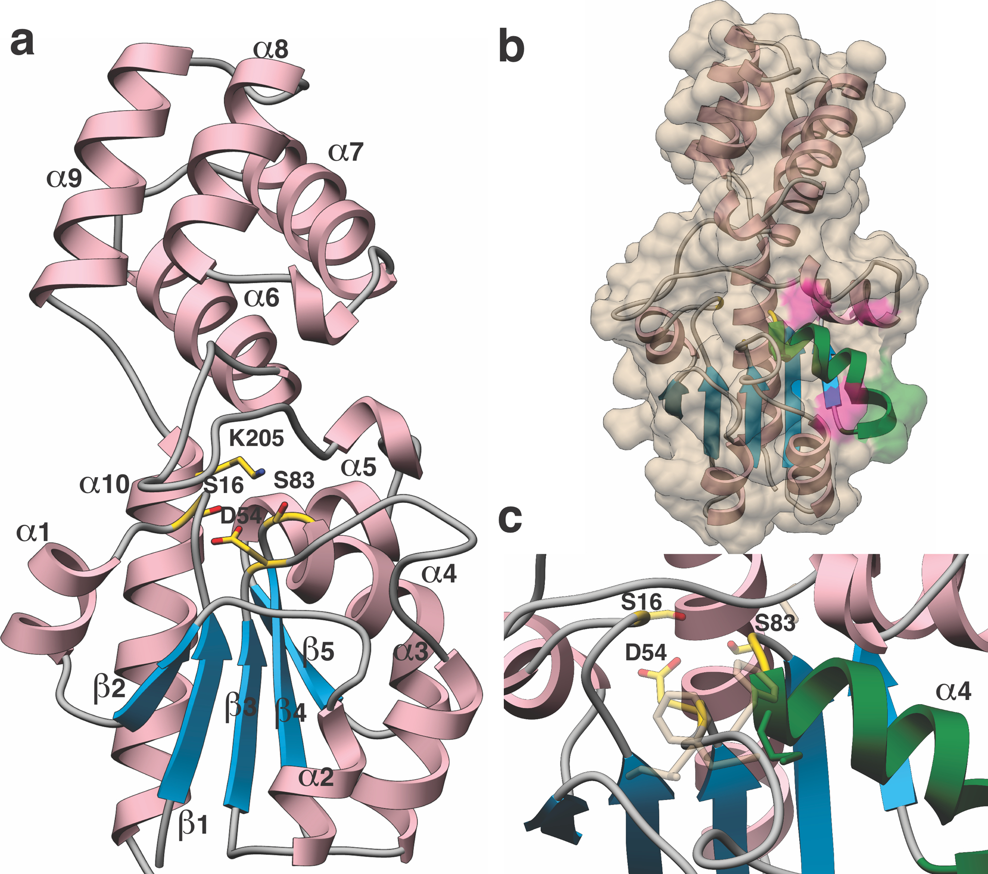 Figure 4.