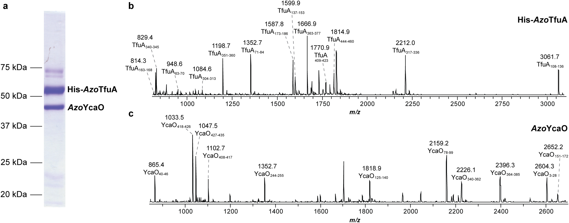 Extended Data Fig. 8