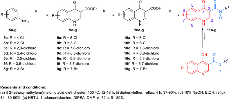 Scheme 2