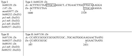 Figure 4.—