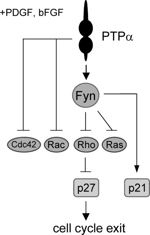 FIGURE 10.