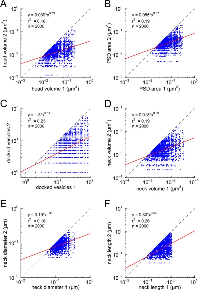 Figure 4—figure supplement 2.