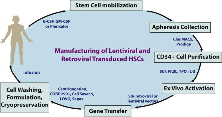 Figure 1